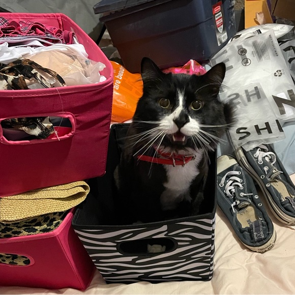 Meet your Posher, Raquel - Picture 3 of 3